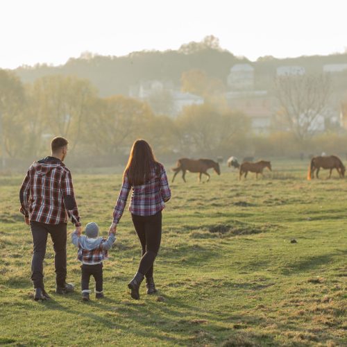 deixar a fazenda no nome dos filhos em vida, deixar fazenda para filhos”, “transferência de fazenda em vida”, “planejamento sucessório rural”, “doação de fazenda”, “herança rural